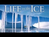 Life on the Ice Assessment 
