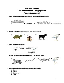 Life processes review by Craig Freeman | Teachers Pay Teachers