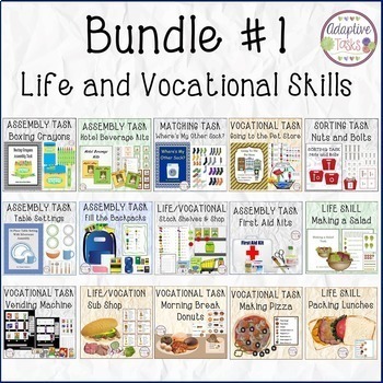 Preview of BUNDLE #1 LIFE and VOCATIONAL SKILLS