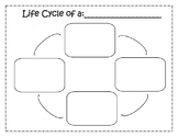 Lifecycle Blank Chart & Meal worm Cut/Paste Handout