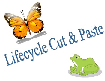 Preview of Lifecycle Cut & Paste