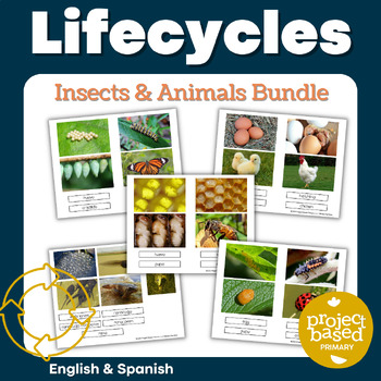 Preview of Life Cycle of Living Things (Bilingual)