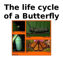 Preview of Lifecycle of a Butterfly