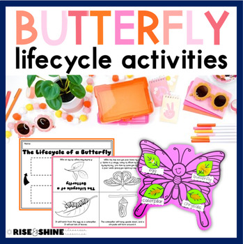 Preview of Lifecycle of a Butterfly |Pasta Craft, Foldable Book, Lifecycle Chart