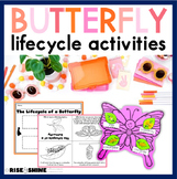 Lifecycle of a Butterfly |Pasta Craft, Foldable Book, Life