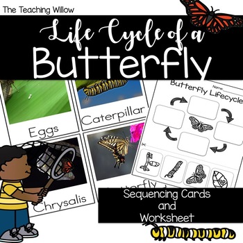 Lifecycle of a Butterfly Sequencing Cards and Worksheet by The Teaching ...