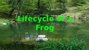 Preview of Lifecycle of a Frog Distance Learning Presentation