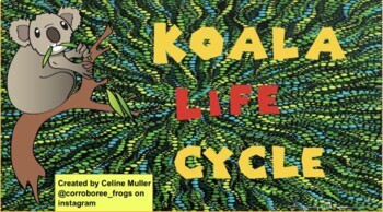 Preview of Lifecycle of a Koala
