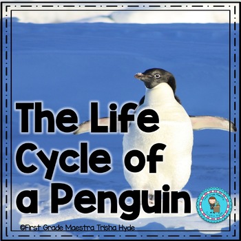 Penguin Life Cycle