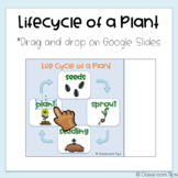 Lifecycle of a Plant (Distance Learning - Science Google Classroom)