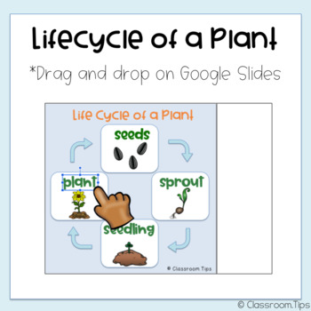 Preview of Lifecycle of a Plant (Distance Learning - Science Google Classroom)