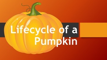 Preview of Lifecycle of a Pumpkin