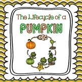 Lifecycle of a Pumpkin (Halloween, Thanksgiving and Fall A