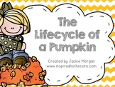 Lifecycle of a Pumpkin Set