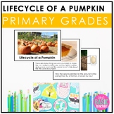 Lifecycle of a Pumpkin l Non-fiction Literacy, Science