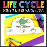 Life Cycle of a Sea Turtle Mini Unit