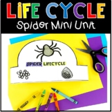 Life Cycle of a Spider Mini Unit