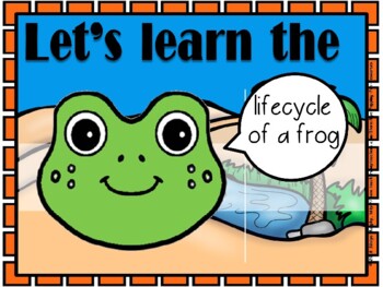 Preview of Lifecycle of a frog