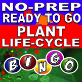 Life Cycle of the Plant Bingo!
