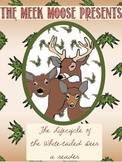 Life Cycle of the White-tailed Deer Reader