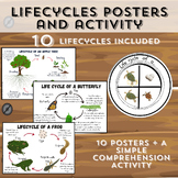 Lifecycles - 8 Trees and animal's lifecycles posters and activity