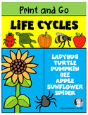 Science Life Cycles {Print and Go} for Kindergarten and Fi