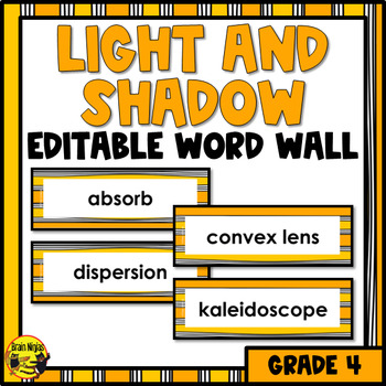 Preview of Light and Shadow Vocabulary | Editable Word Wall