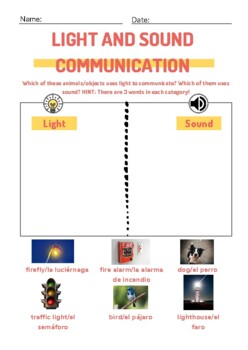 Light and Sound Communication Sort by Danielle Lorenz | TPT