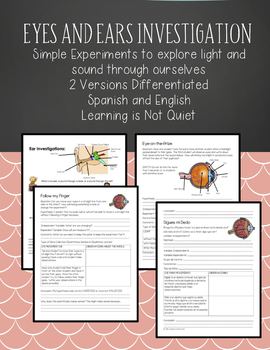 Preview of Light and Sound, Ears and Eyes Lab (Spanish, English, ESOL, SPED)