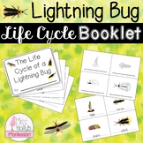Lightning Bug/Firefly Life Cycle Booklet Montessori Inspired