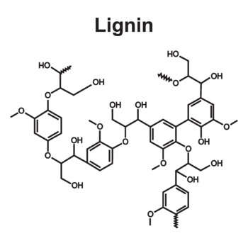 Preview of Lignin Fiber Molecule. Chemical Structure. Skeletal Formula.