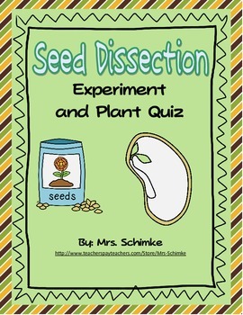 Preview of Lima Bean Dissection and Plant Quiz