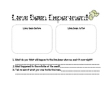 Lima Bean Worksheets & Teaching Resources | Teachers Pay Teachers