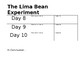 Lima Bean Experiment by Creations from the Heart | TpT