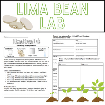 Preview of Lima Bean Lab | Photosynthesis Lab | Science Labs