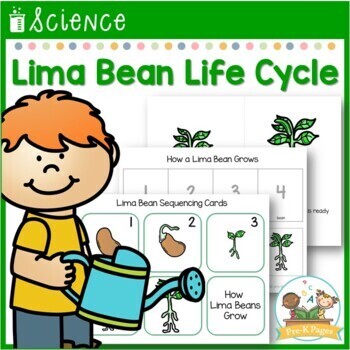 Preview of Lima Bean Life Cycle