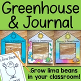 Lima Bean Plant Growing Greenhouse and Journal Science Activity