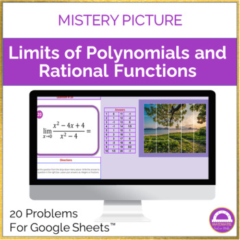 Preview of Limits of Polynomials and Rational Functions Mystery Picture