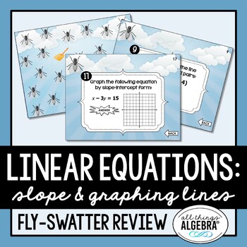 Preview of Linear Equations (Slope & Graphing) | Fly-Swatter Review Activity