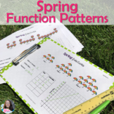 Linear Equations Linear Functions Patterns Spring April Activity