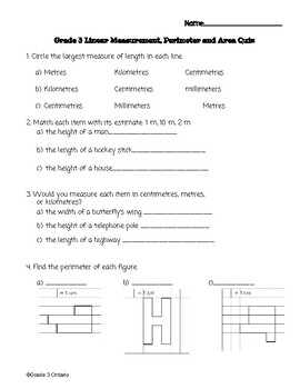Preview of Linear Measurement, Perimeter and Area Assessment