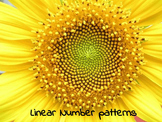 Linear number patterns