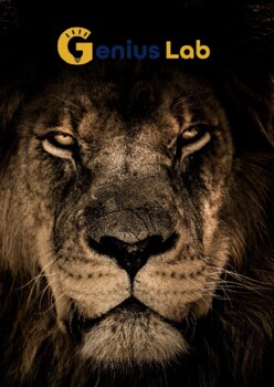 Preview of Lion Chasers SEL Workbook for students 4th Grade and Up