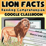 Lion Facts Reading Comprehension - Google Classroom - Dist