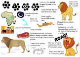 Lion Information Report Visual