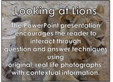 LIONS - Interactive PowerPoint presentation including vide