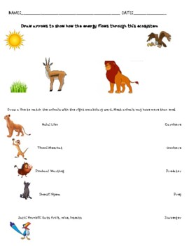 Preview of Lion King: Elementary Ecology Movie Guide