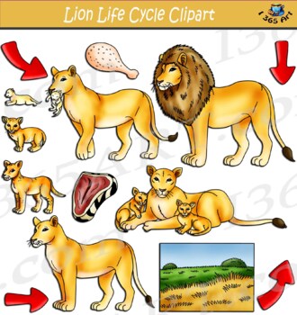 Free Free 168 Lion And Lioness Svg SVG PNG EPS DXF File