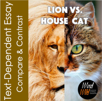 Preview of Lion vs. House Cat Text-Dependent Essay, Compare and Contrast, Expository, Easel