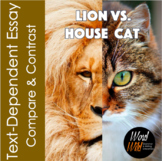 Lion vs. House Cat Text-Dependent Essay, Compare and Contr